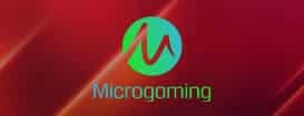 สล็อตออนไลน์-MicroGaming